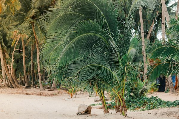Quels sont les conseils pour une randonnée dans le parc national des Abruzzes, Italie ?