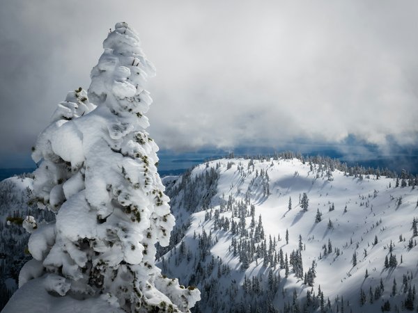 Où apprendre les techniques de la sculpture sur glace en Alaska : ateliers et festivals recommandés ?